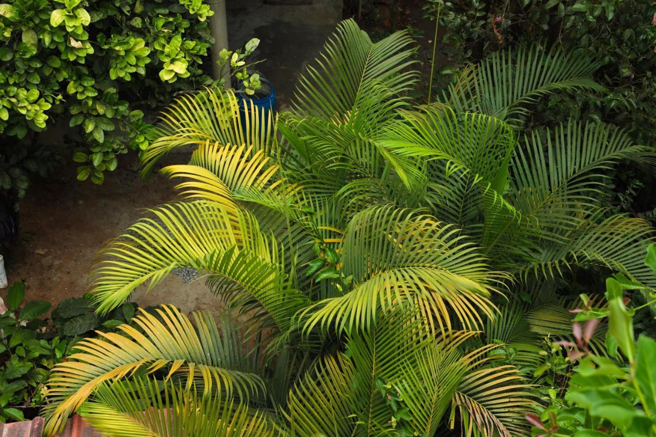 Copperhill- A Luxury Homestay *