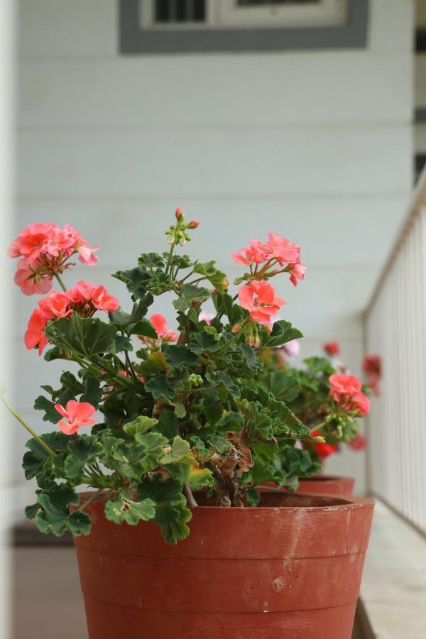 Copperhill- A Luxury Homestay *